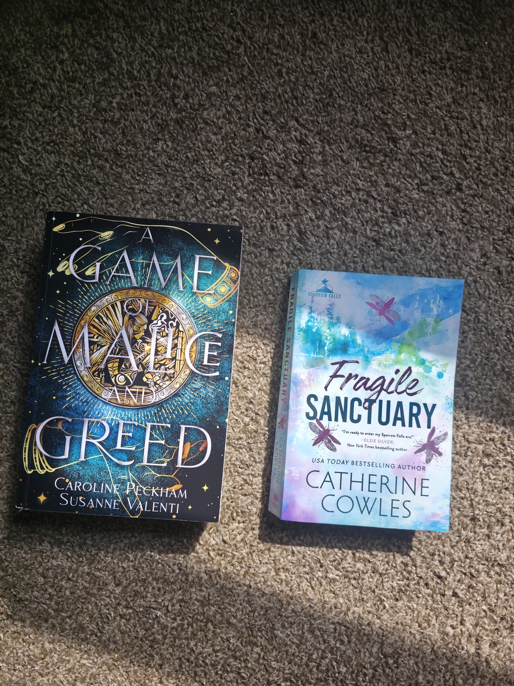 Fragile Sanctuary - Blue & White Paperback Novel